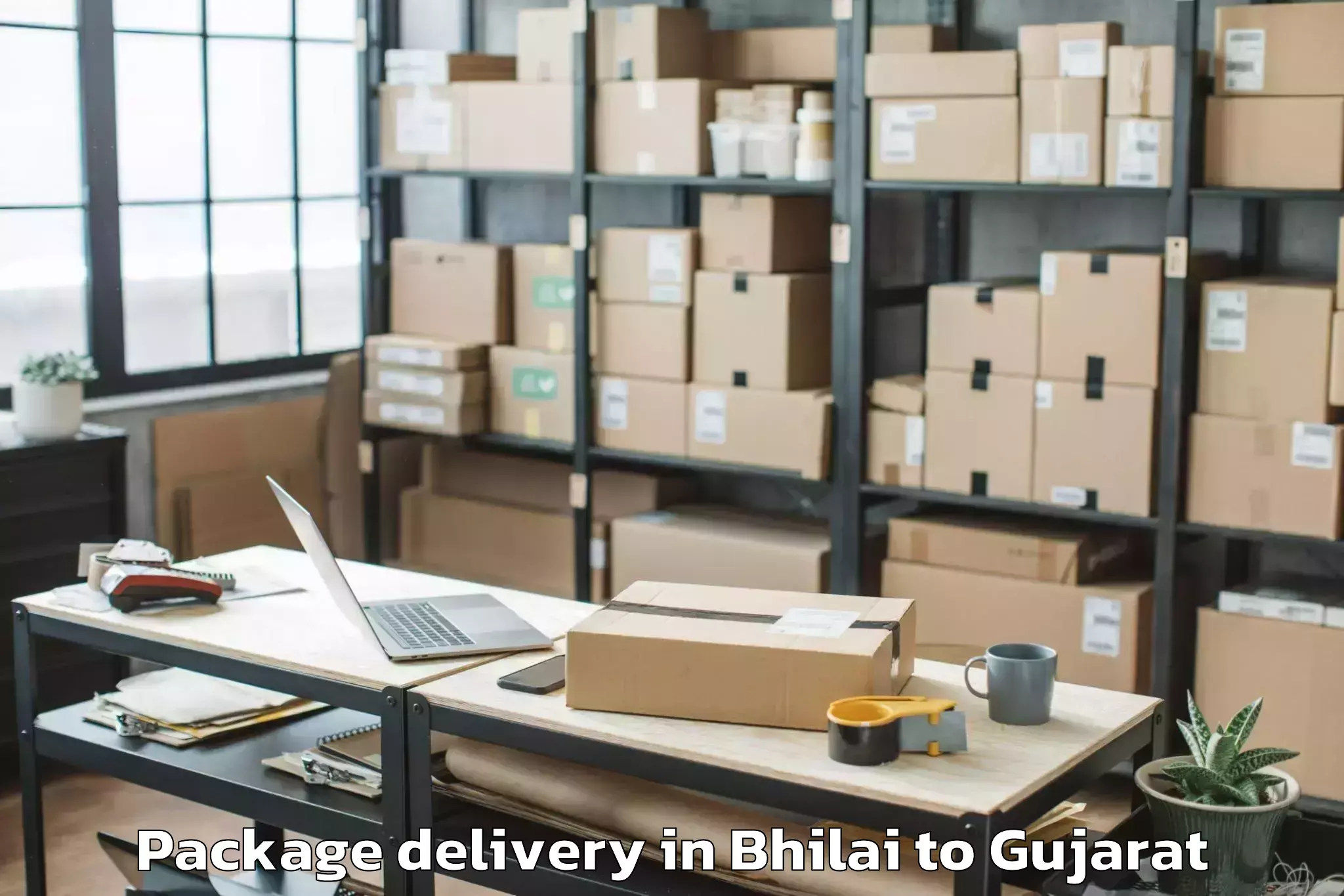 Quality Bhilai to Lodhika Package Delivery